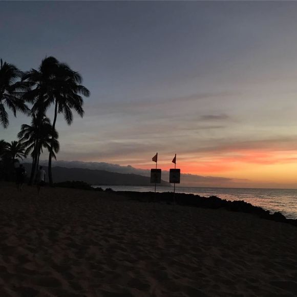 Meet your Posher, Shane - Picture 1 of 1